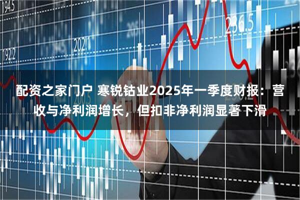 配资之家门户 寒锐钴业2025年一季度财报：营收与净利润增长，但扣非净利润显著下滑